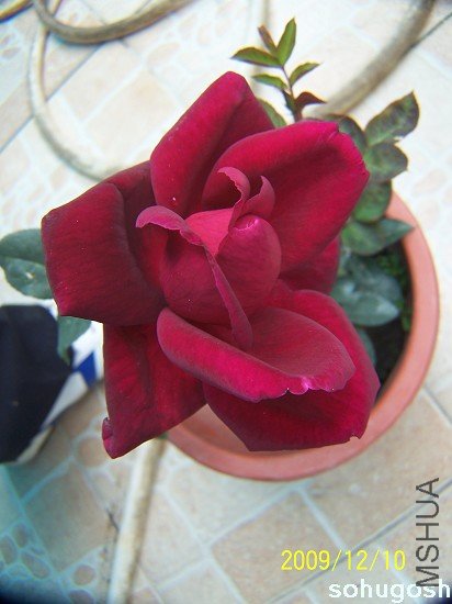 100_6857.jpg