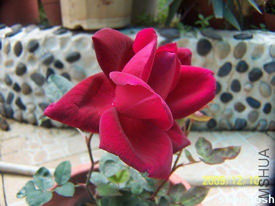 100_6847.jpg