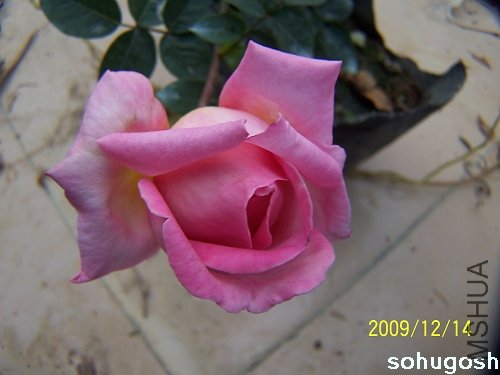 100_6947.jpg