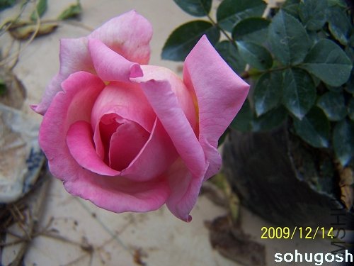 100_6948.jpg