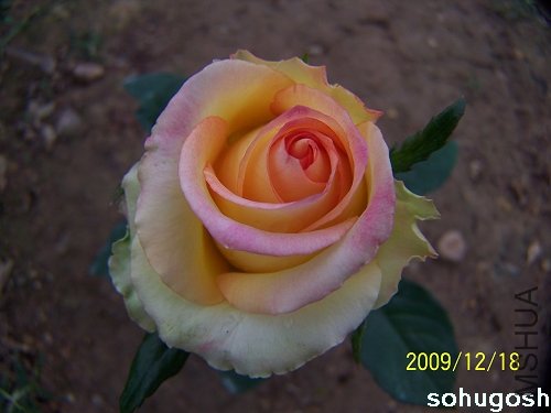 100_7065.jpg