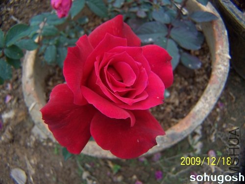 100_7028.jpg