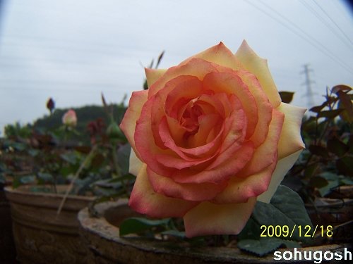100_7034.jpg