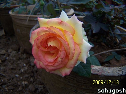 100_7025.jpg