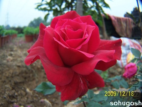 100_7031.jpg