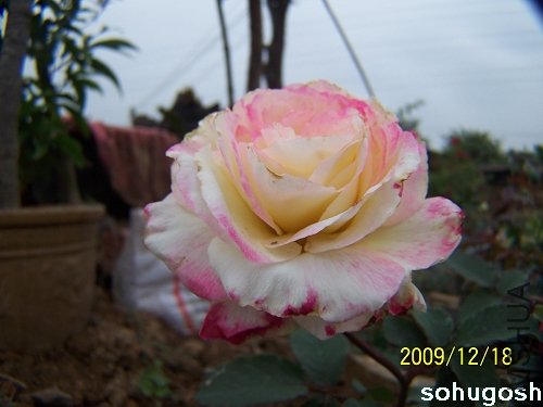 100_7032.jpg