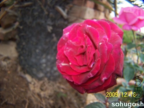 100_7035.jpg