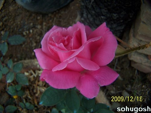 100_7039.jpg