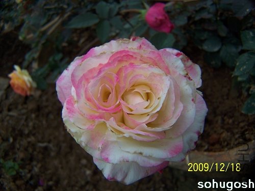 100_7027.jpg