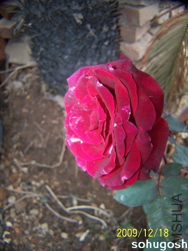 100_7040.jpg