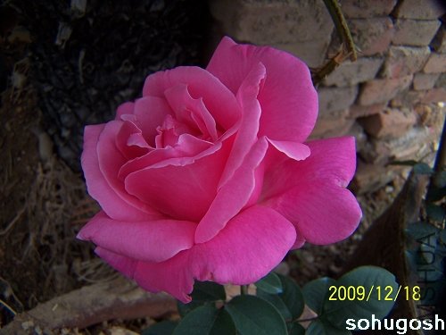 100_7037.jpg