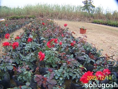 100_7058.jpg