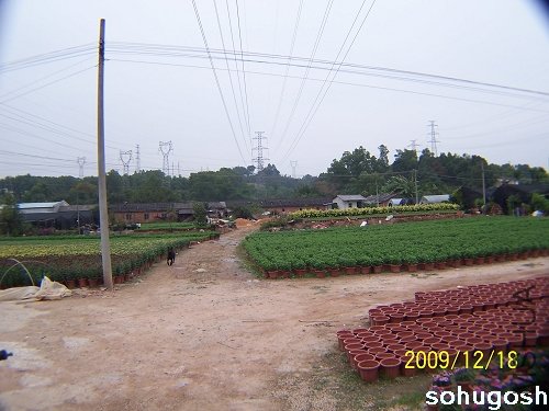 100_7081.jpg