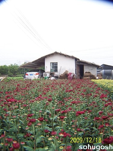 100_7044.jpg