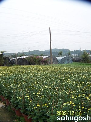 100_7042.jpg