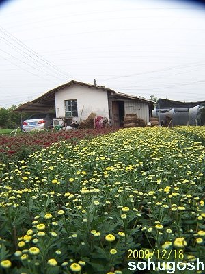 100_7043.jpg