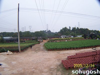 100_7081.jpg