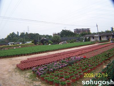 100_7080.jpg