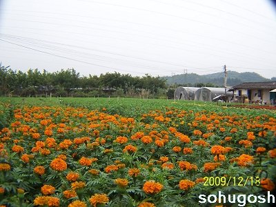 100_7049.jpg