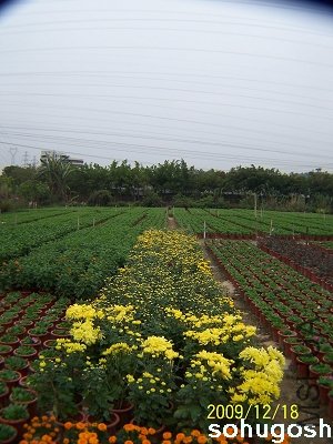 100_7048.jpg