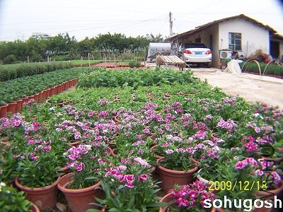 100_7045.jpg