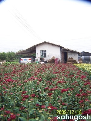 100_7044.jpg