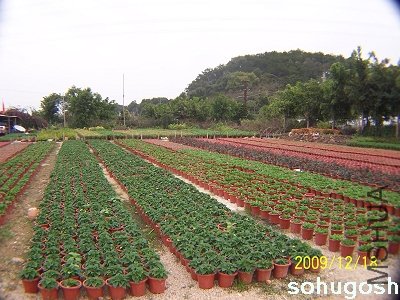 100_7079.jpg