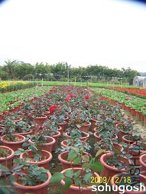 100_7047.jpg