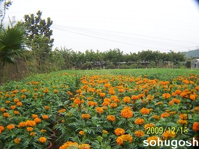100_7050.jpg