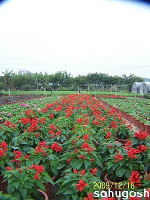 100_7046.jpg