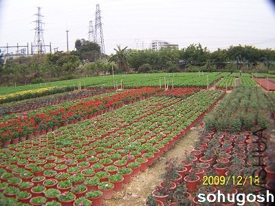 100_7078.jpg