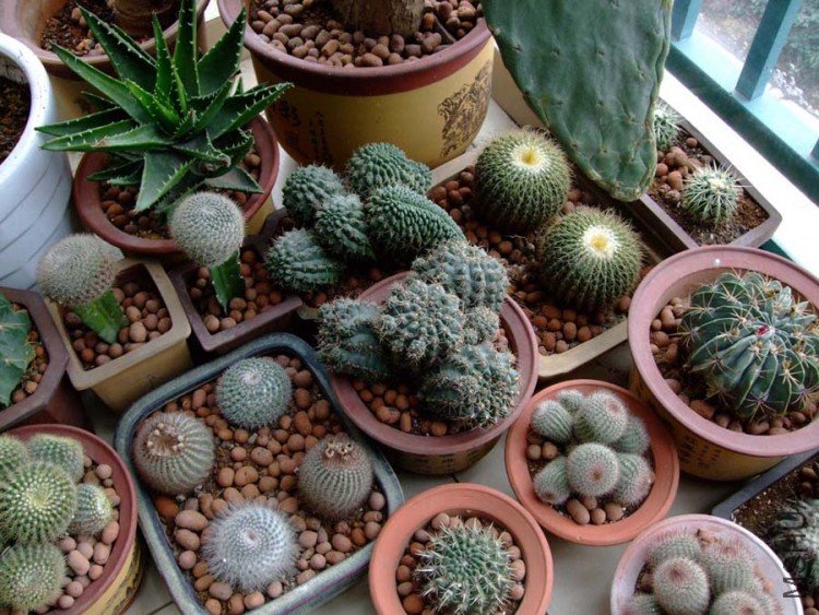 ��ֲ̨�� 09-11-18f (2).jpg