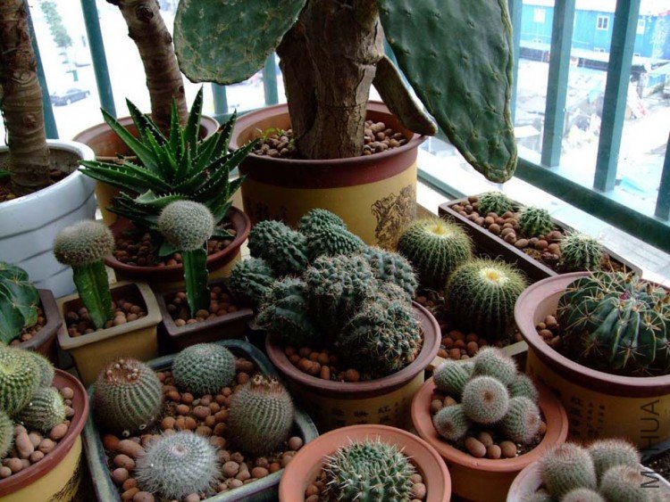 ��ֲ̨�� 09-11-18f(1).jpg