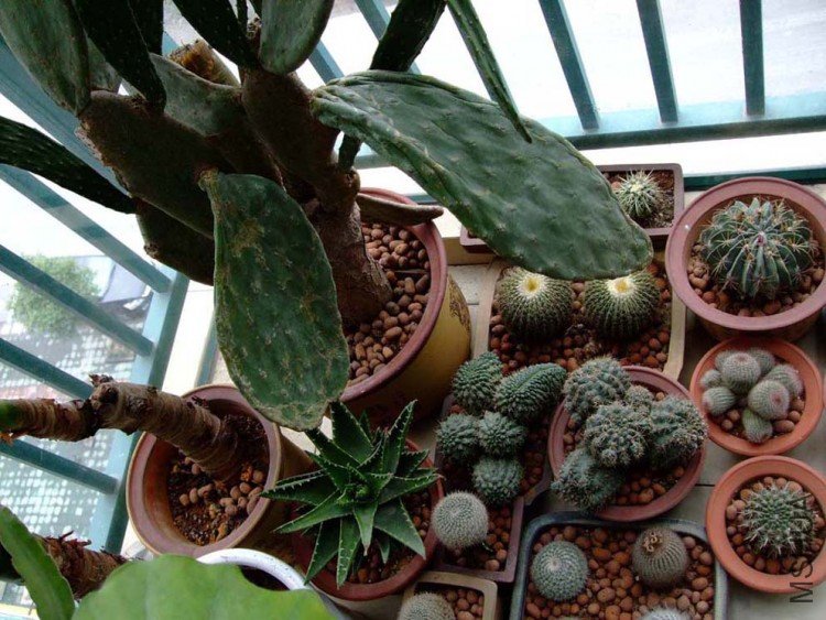 ��ֲ̨�� 09-11-18f (3).jpg