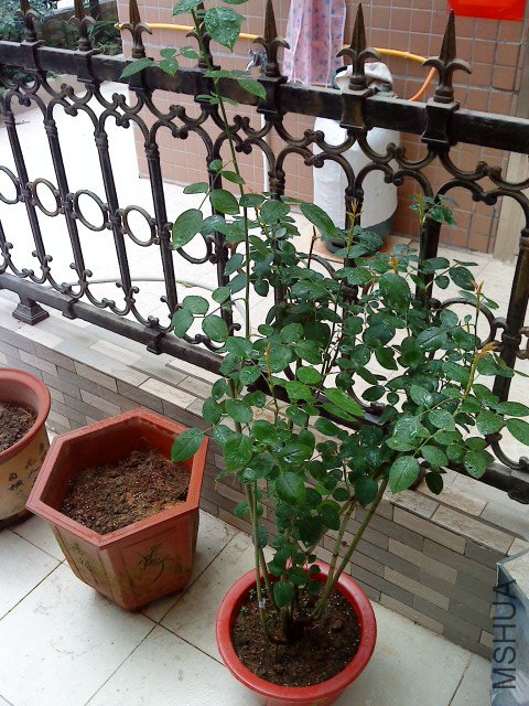 DSC00549.JPG