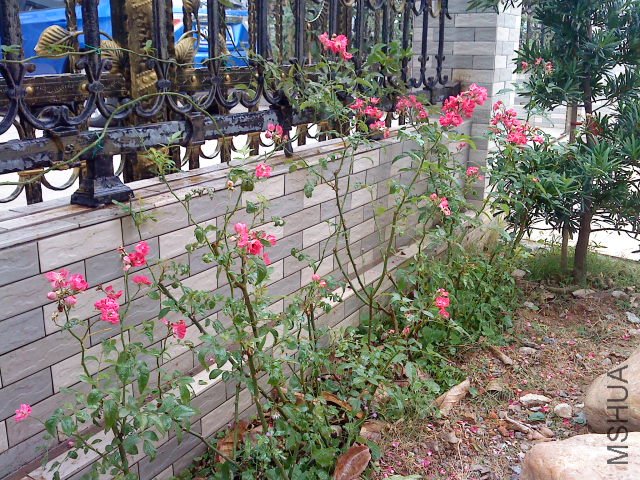 DSC00542.JPG