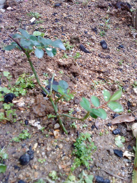 DSC00543.JPG
