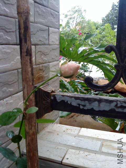 DSC00548.JPG