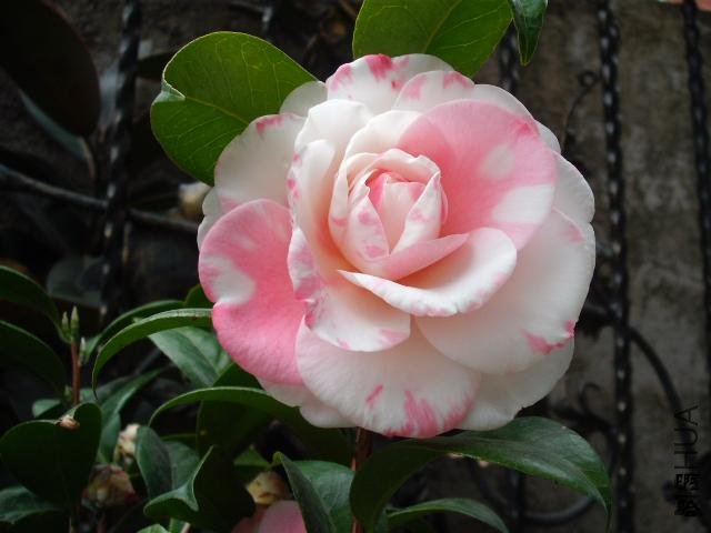 ȥ����λ�ţ����