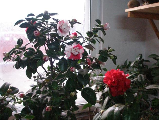 PC223813.JPG