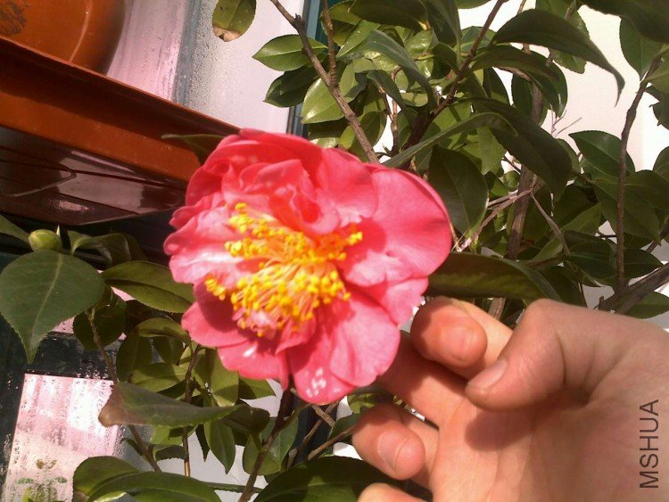 20091212075.jpg