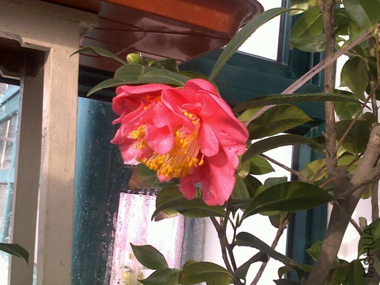 20091212069.jpg
