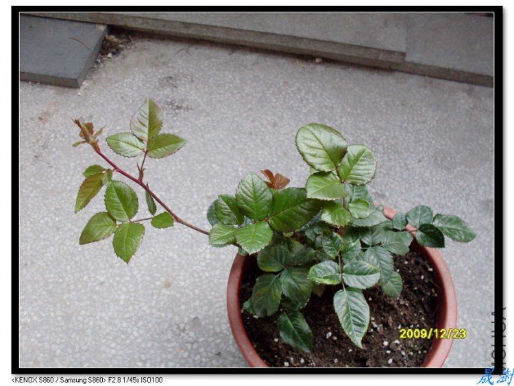 SDC12880_nEO_IMG.jpg