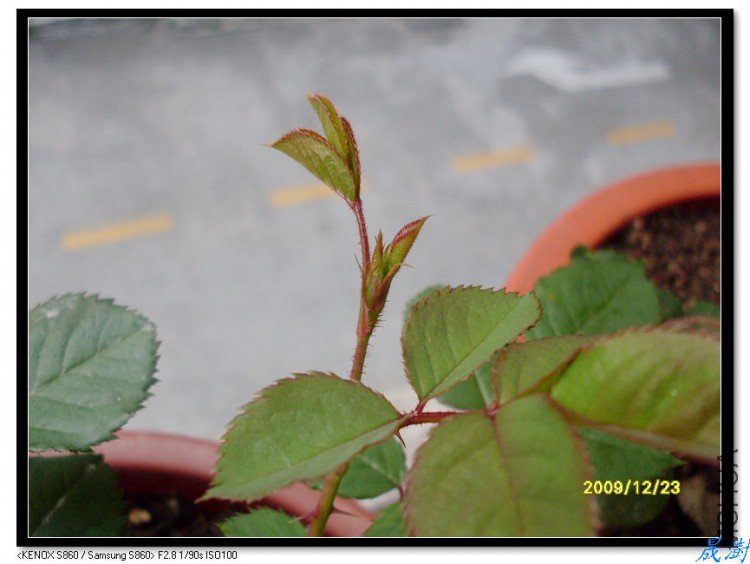 SDC12885_nEO_IMG.jpg