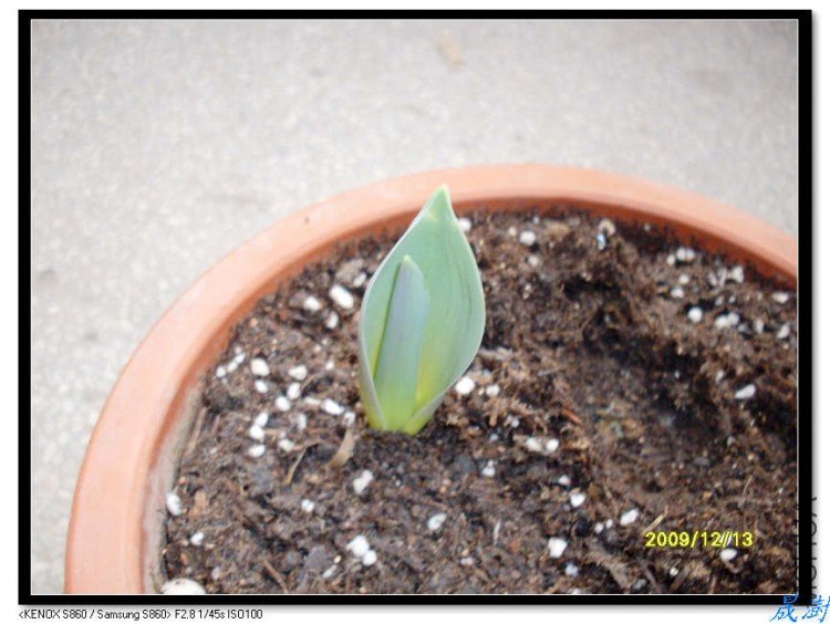 SDC12833_nEO_IMG.jpg