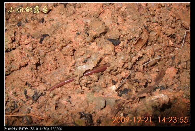 DSCF0328.jpg