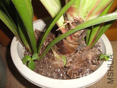 �±ߵ�����