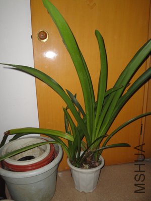 �ո��ûص����� �����50����