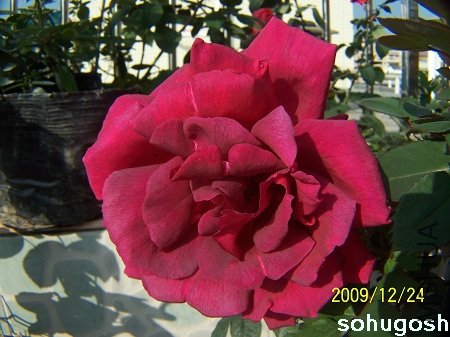 100_7362.jpg