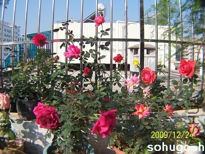 100_7359.jpg
